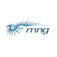 MNG Technologies logo, MNG Technologies contact details