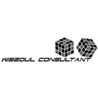 Wiseoul Consultant logo, Wiseoul Consultant contact details