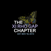 The Xi Rho GAP Chapter of Theta Nu Xi Multicultural Sorority, Inc. logo, The Xi Rho GAP Chapter of Theta Nu Xi Multicultural Sorority, Inc. contact details