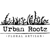 Urban Rootz logo, Urban Rootz contact details