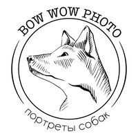 Bow Wow Photo logo, Bow Wow Photo contact details