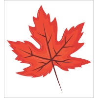 Maple Fincorp logo, Maple Fincorp contact details