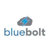 Blue Bolt Consulting logo, Blue Bolt Consulting contact details