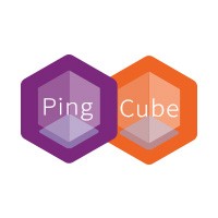 Pingcube Software Private Limited logo, Pingcube Software Private Limited contact details