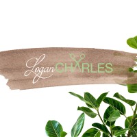 Logan Charles Salon logo, Logan Charles Salon contact details