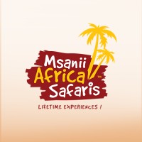 Msanii Africa Safaris logo, Msanii Africa Safaris contact details