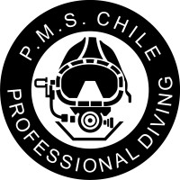 P.M.S CHILE logo, P.M.S CHILE contact details