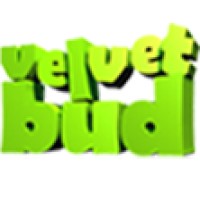 VelvetBud Technologies logo, VelvetBud Technologies contact details