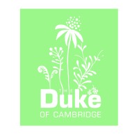 DUKE BARS LIMITED logo, DUKE BARS LIMITED contact details