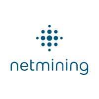 Netmining logo, Netmining contact details