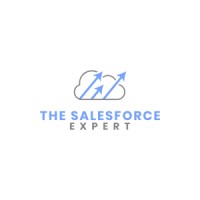 The Salesforce Expert LLC logo, The Salesforce Expert LLC contact details