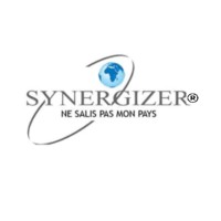 Synergizer Electric Power Co., Ltd logo, Synergizer Electric Power Co., Ltd contact details