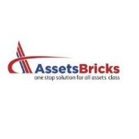 Assets Bricks logo, Assets Bricks contact details