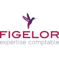 FIGELOR logo, FIGELOR contact details