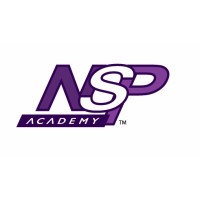 NSP Consulting logo, NSP Consulting contact details