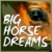 Big Horse Dreams, Inc. logo, Big Horse Dreams, Inc. contact details