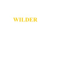 The Wilder Company logo, The Wilder Company contact details