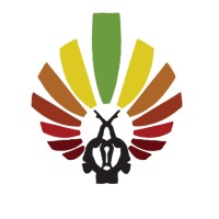 Ethio Circus logo, Ethio Circus contact details