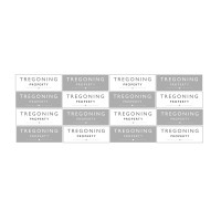 Tregoning Property logo, Tregoning Property contact details