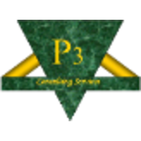 P3 Consulting Services, LLC logo, P3 Consulting Services, LLC contact details