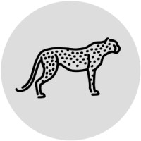 Process Cheetah logo, Process Cheetah contact details