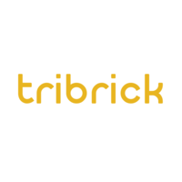 Tribrick Business Solutions Inc. logo, Tribrick Business Solutions Inc. contact details