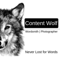 Content Wolf logo, Content Wolf contact details