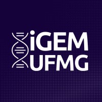 IGEM UFMG logo, IGEM UFMG contact details