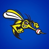 Sugar Land Skeeters logo, Sugar Land Skeeters contact details