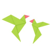 Paper Birds logo, Paper Birds contact details