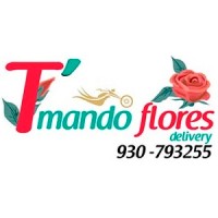 T Mando Flores logo, T Mando Flores contact details