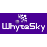 WhyteSky Consulting logo, WhyteSky Consulting contact details