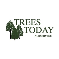 Trees Today Nursery Inc logo, Trees Today Nursery Inc contact details