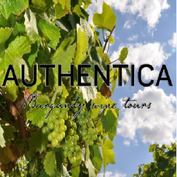 Authentica Tours logo, Authentica Tours contact details