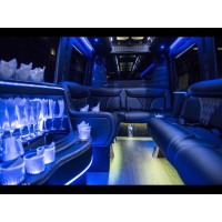 Varsity Limousine logo, Varsity Limousine contact details