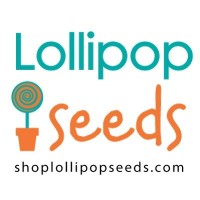 Lollipop Seeds logo, Lollipop Seeds contact details