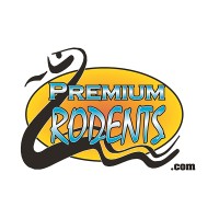 South Florida Rodents logo, South Florida Rodents contact details