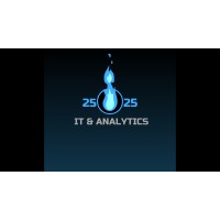 2525 IT & Analytics logo, 2525 IT & Analytics contact details