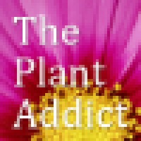 The Plant Addict logo, The Plant Addict contact details