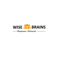 WiseBrains Consulting logo, WiseBrains Consulting contact details