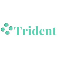 Trident IT Group logo, Trident IT Group contact details