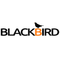 Blackbird - Consultoría, diseño y desarrollo UX logo, Blackbird - Consultoría, diseño y desarrollo UX contact details