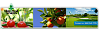 PLANT FOOD SYSTEMS, INC. logo, PLANT FOOD SYSTEMS, INC. contact details