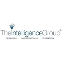 The Intelligence Group LLC logo, The Intelligence Group LLC contact details