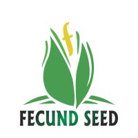 Fecund Seed logo, Fecund Seed contact details