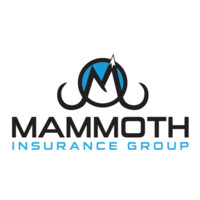 Mammoth Insurance Group LLC logo, Mammoth Insurance Group LLC contact details