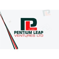 PENTIUM LEAP VENTURES LTD logo, PENTIUM LEAP VENTURES LTD contact details