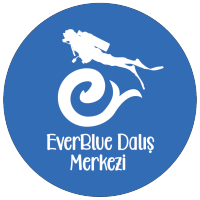 EverBlue Dalış Merkezi logo, EverBlue Dalış Merkezi contact details