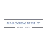 Alpha Overseas International Pvt. Ltd. logo, Alpha Overseas International Pvt. Ltd. contact details