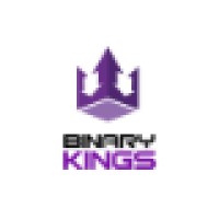 Binary Kings logo, Binary Kings contact details